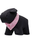 Pañuelo Menta Doble Faz 2.0 M