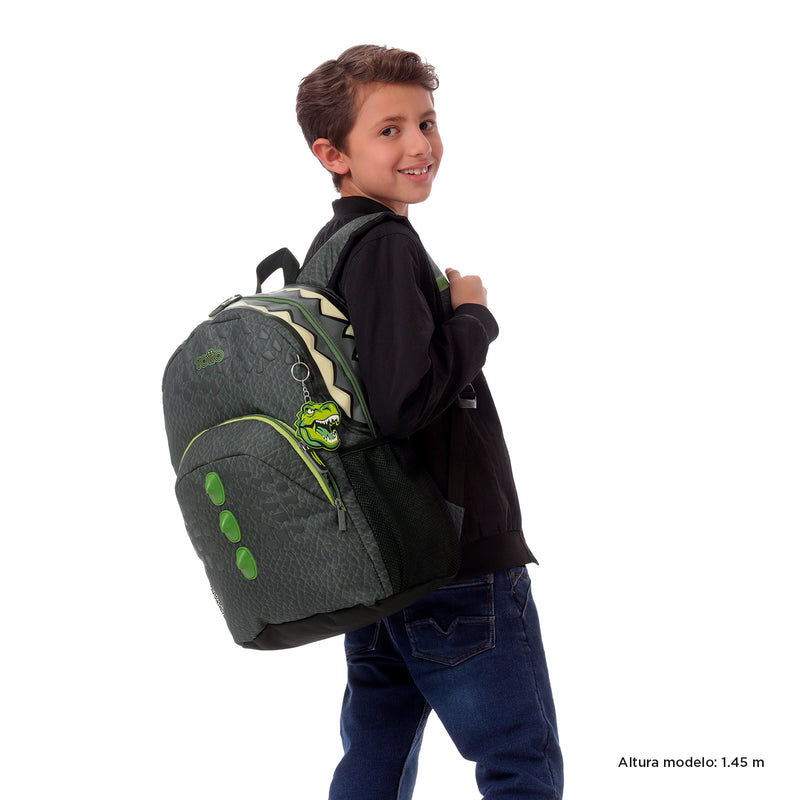 Mochila para Niño Dinoland Grande Gris