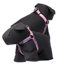 ARNES DE CAMINATA BRUNNO TALLA: M