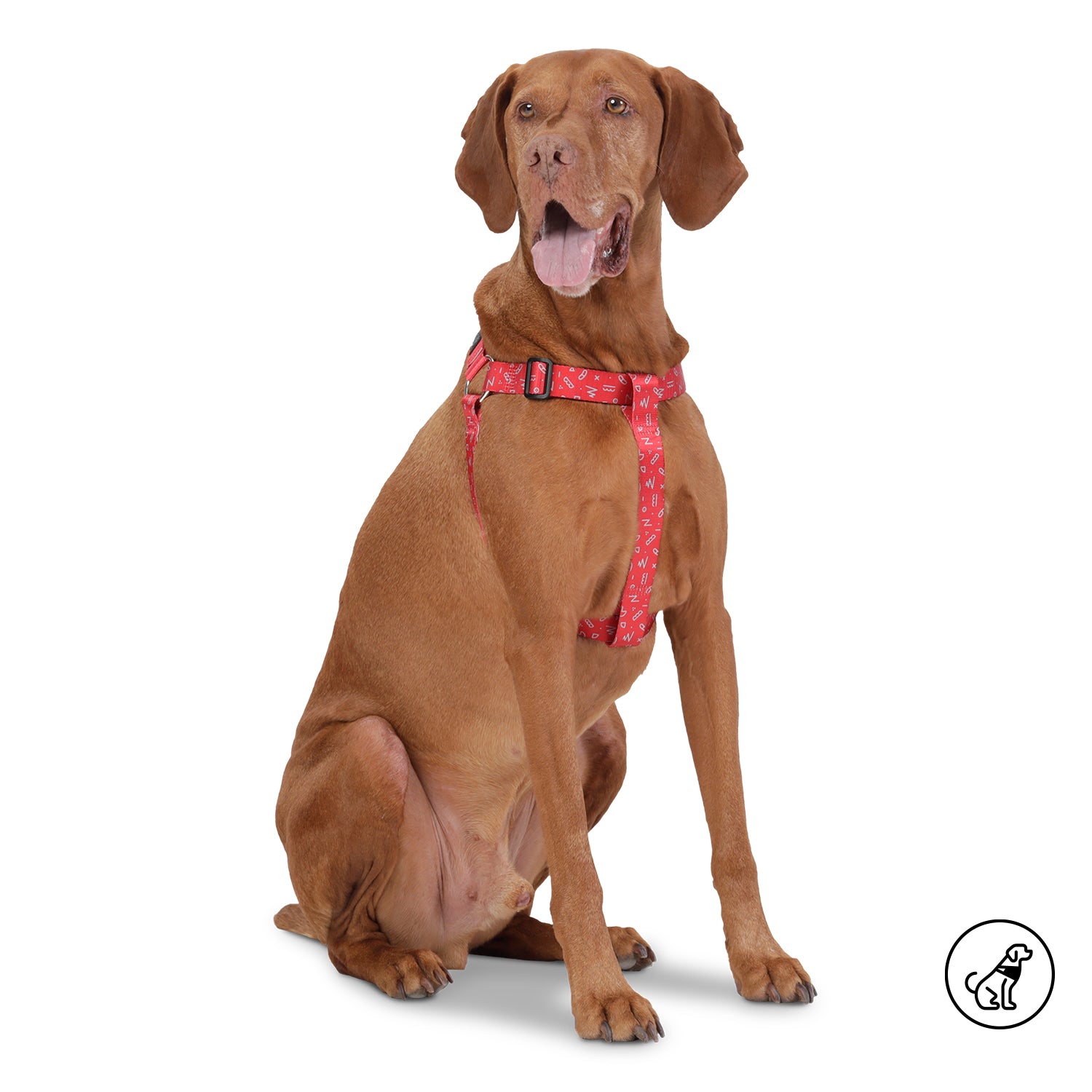 Arnes de caminata brunno talla: L