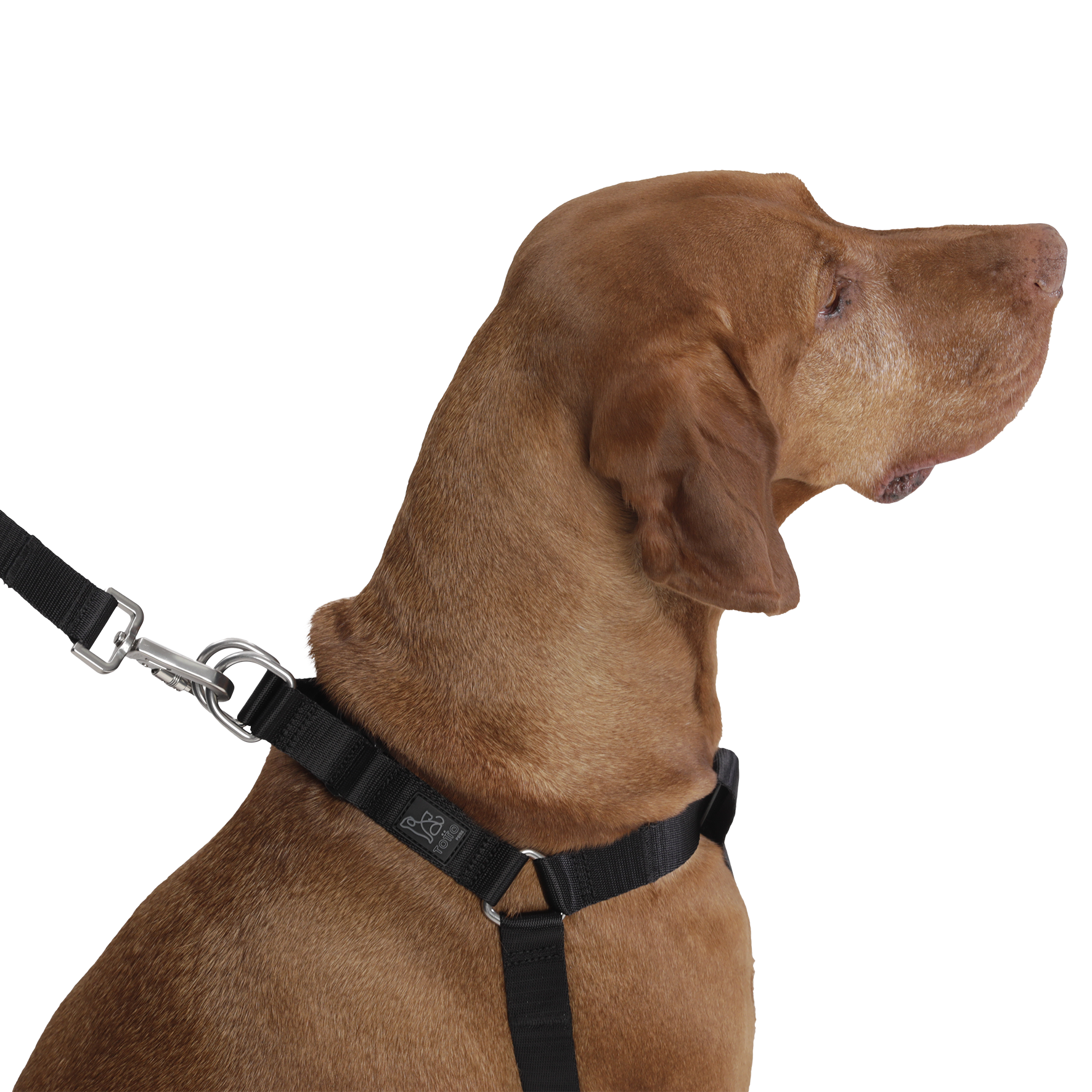 Arnes de caminata Bruno L