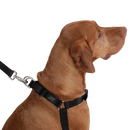 Arnes de caminata Bruno L