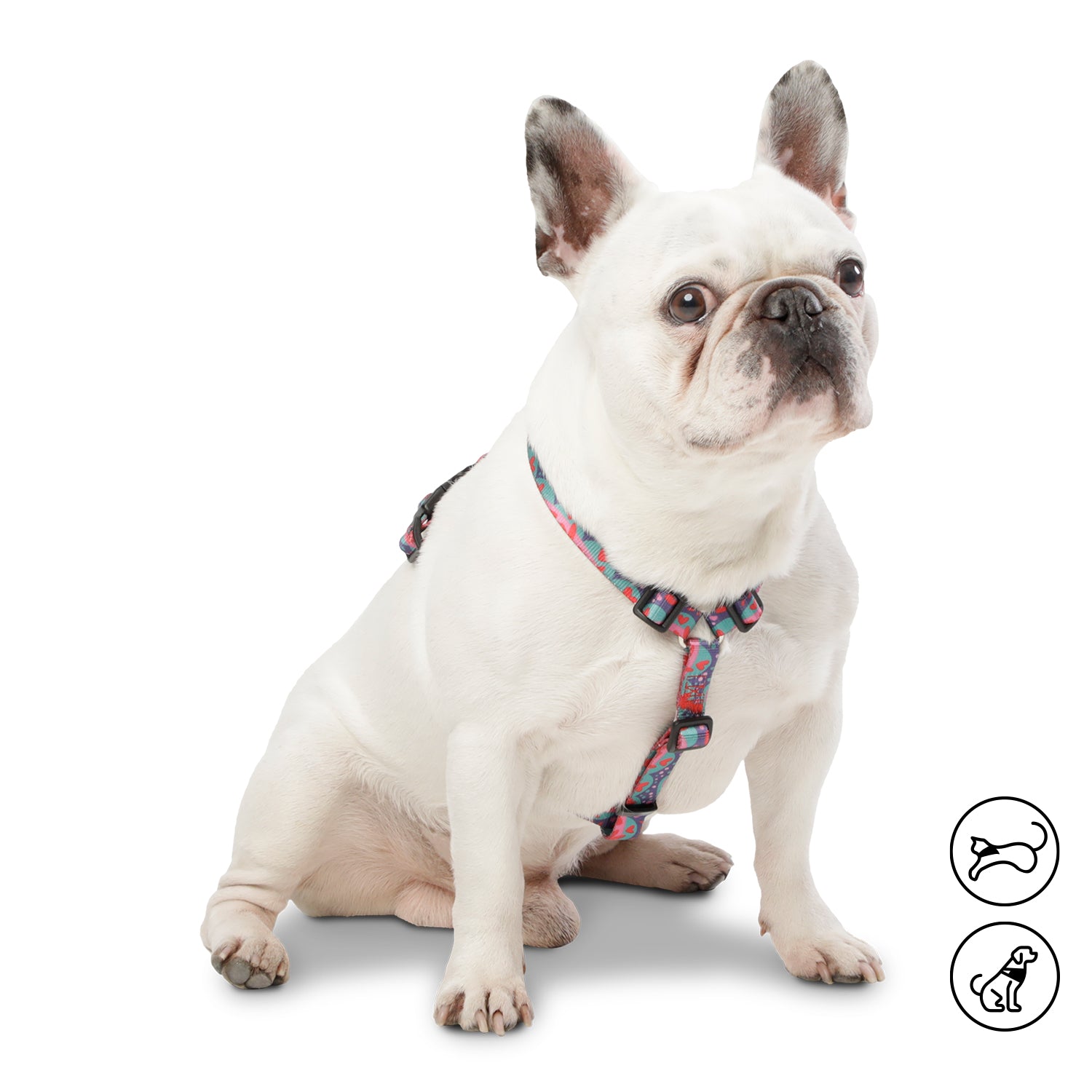 Arnes De Caminata Figgo Color: Rosado Talla: XS