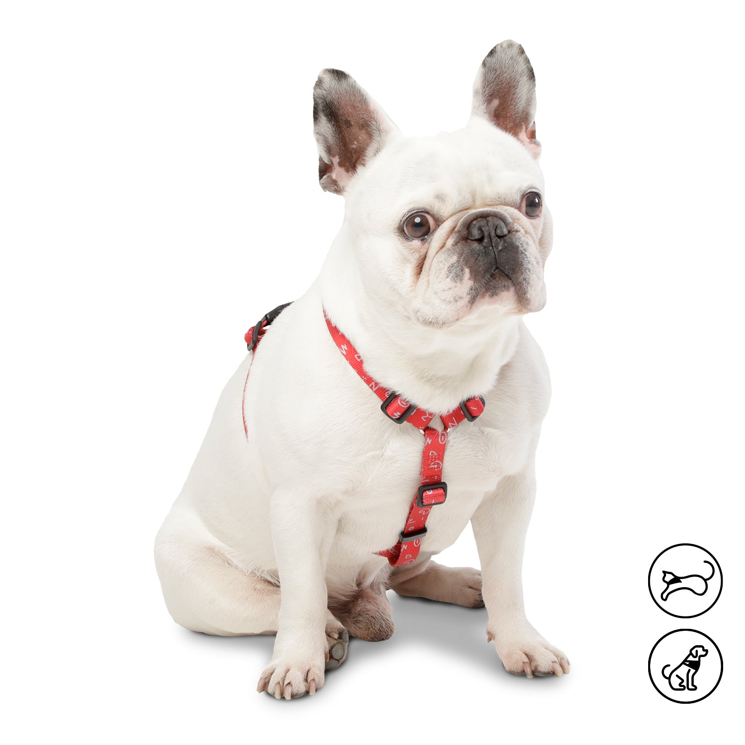 Arnes De Caminata Figgo Color: Azul Talla: XS