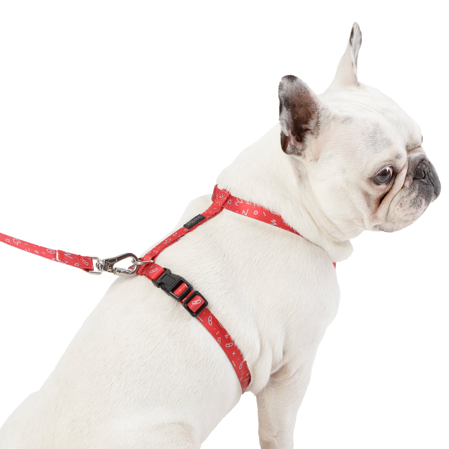 Arnes De Caminata Figgo Color: Azul Talla: XS