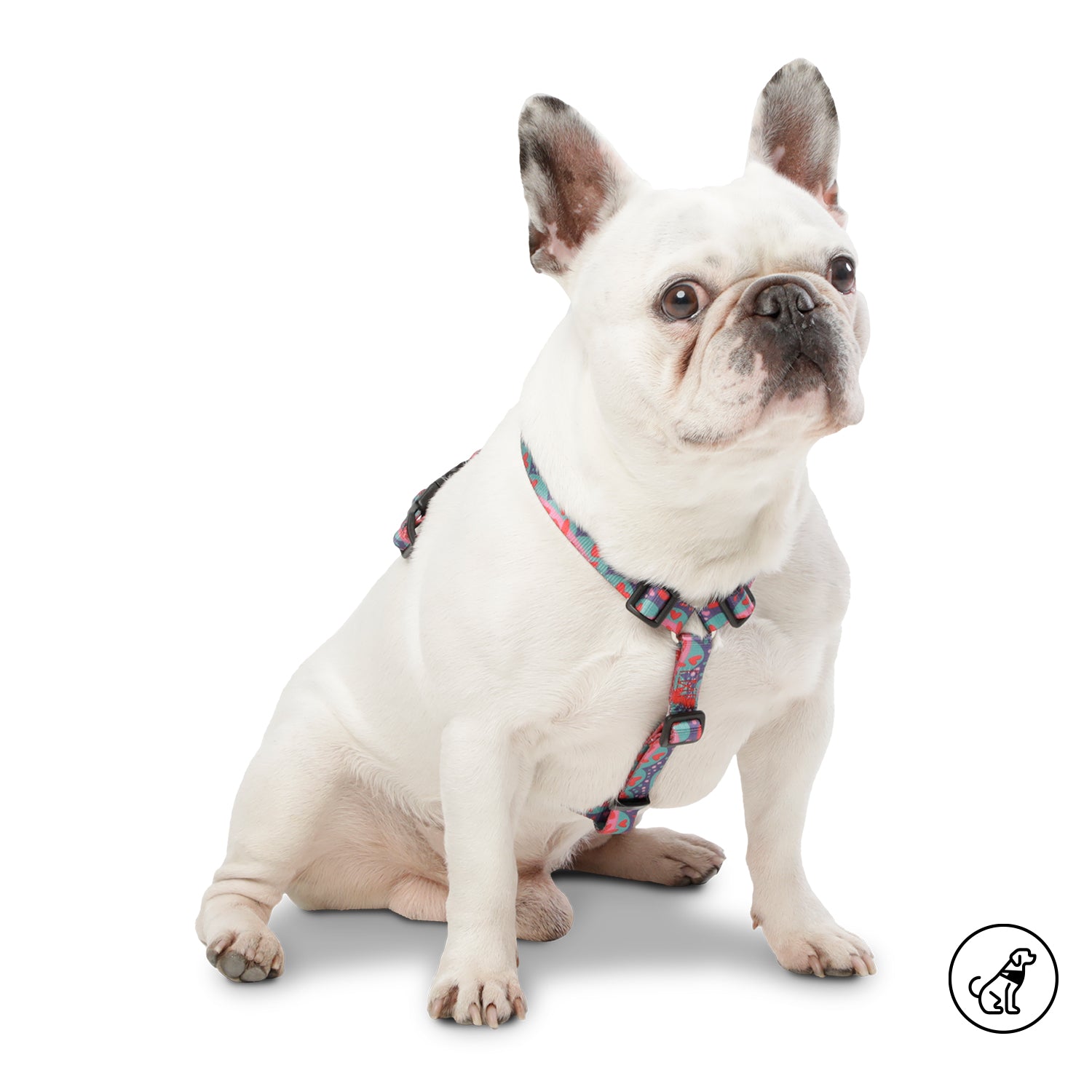 Arnes De Caminata Figgo Color: Rosado Talla: S