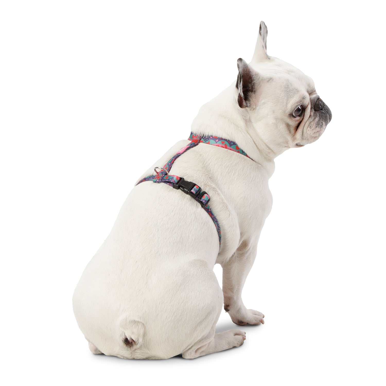 Arnes De Caminata Figgo Color: Rosado Talla: S