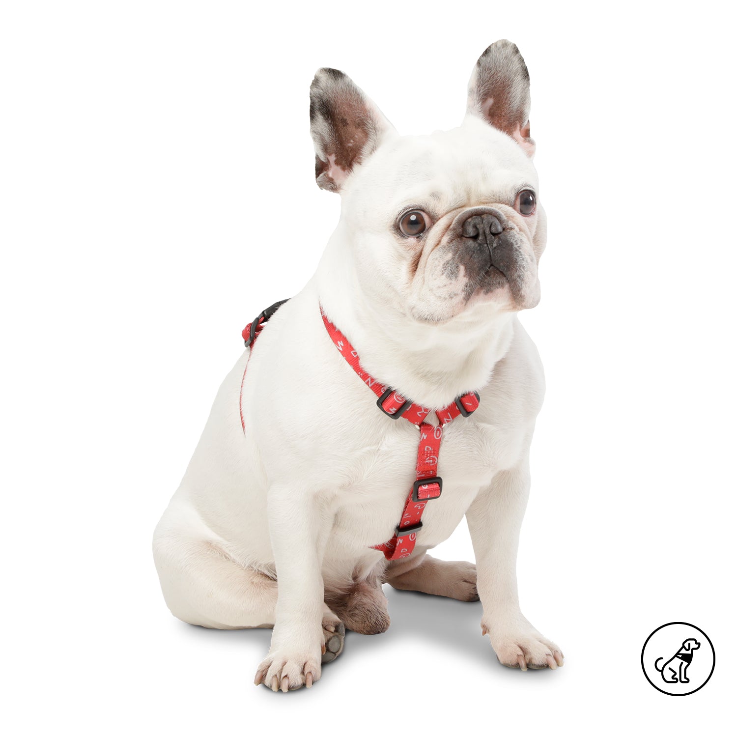 Arnes De Caminata Figgo Color: Rojo Talla: S