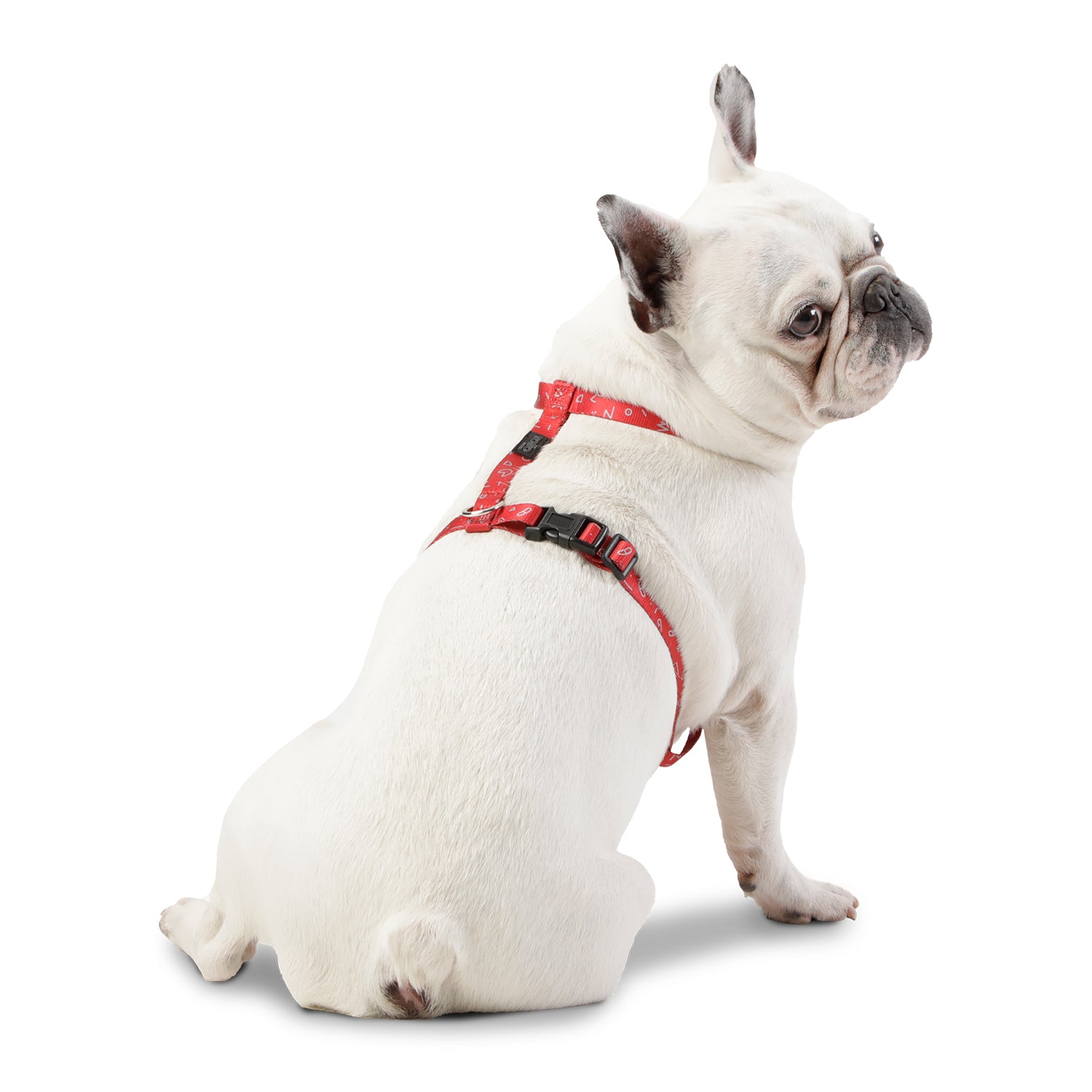 Arnes De Caminata Figgo Color: Rojo Talla: S