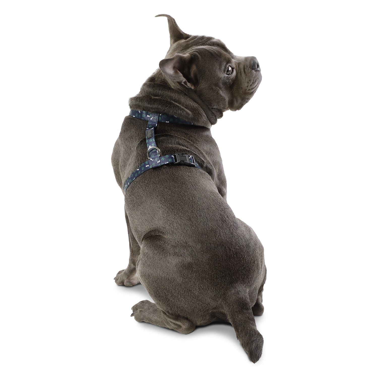 Arnes De Caminata Figgo Color: Azul Talla: M