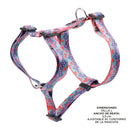 Arnes De Caminata Figgo L