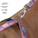 Arnes De Caminata Figgo L