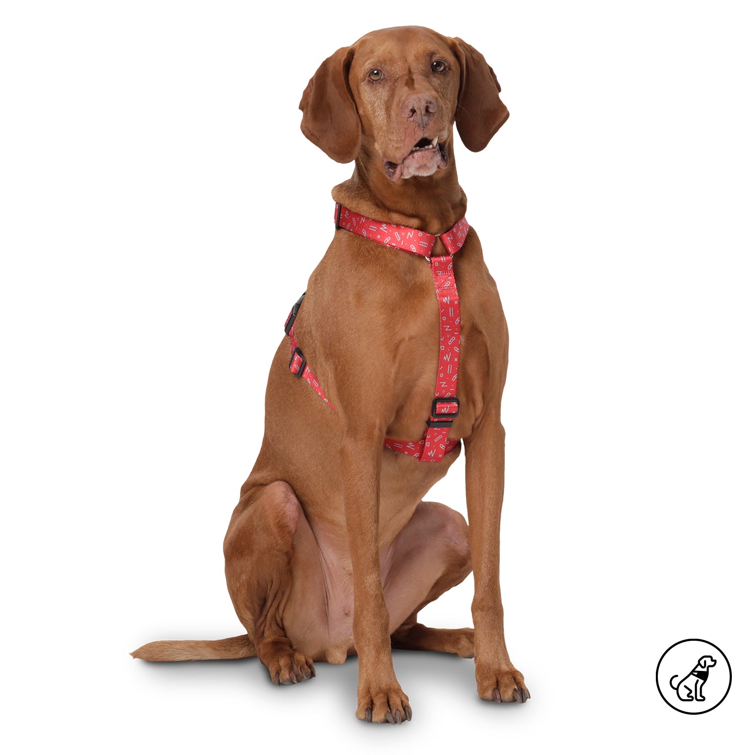 Arnes De Caminata Figgo Color: Rojo Talla: L