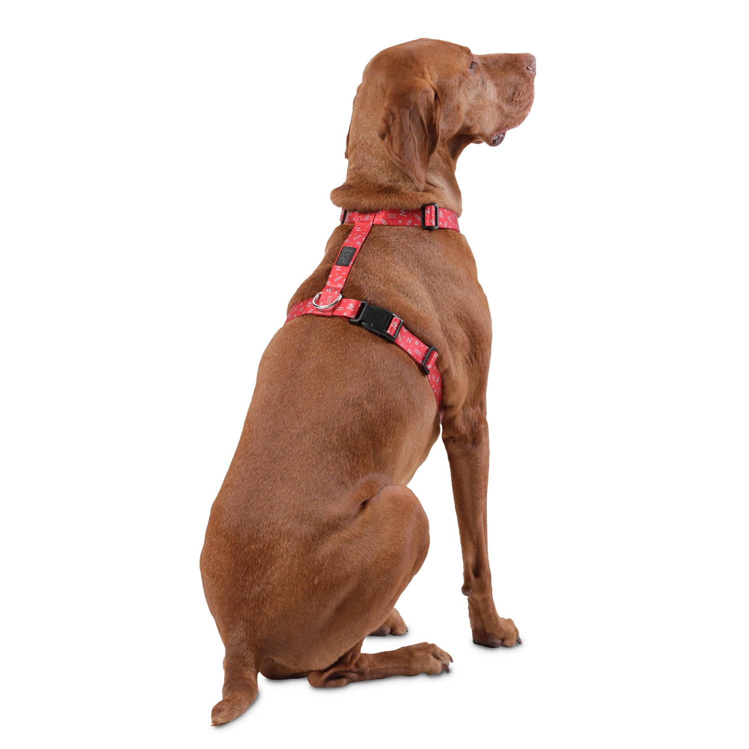 Arnes De Caminata Figgo Color: Rojo Talla: L