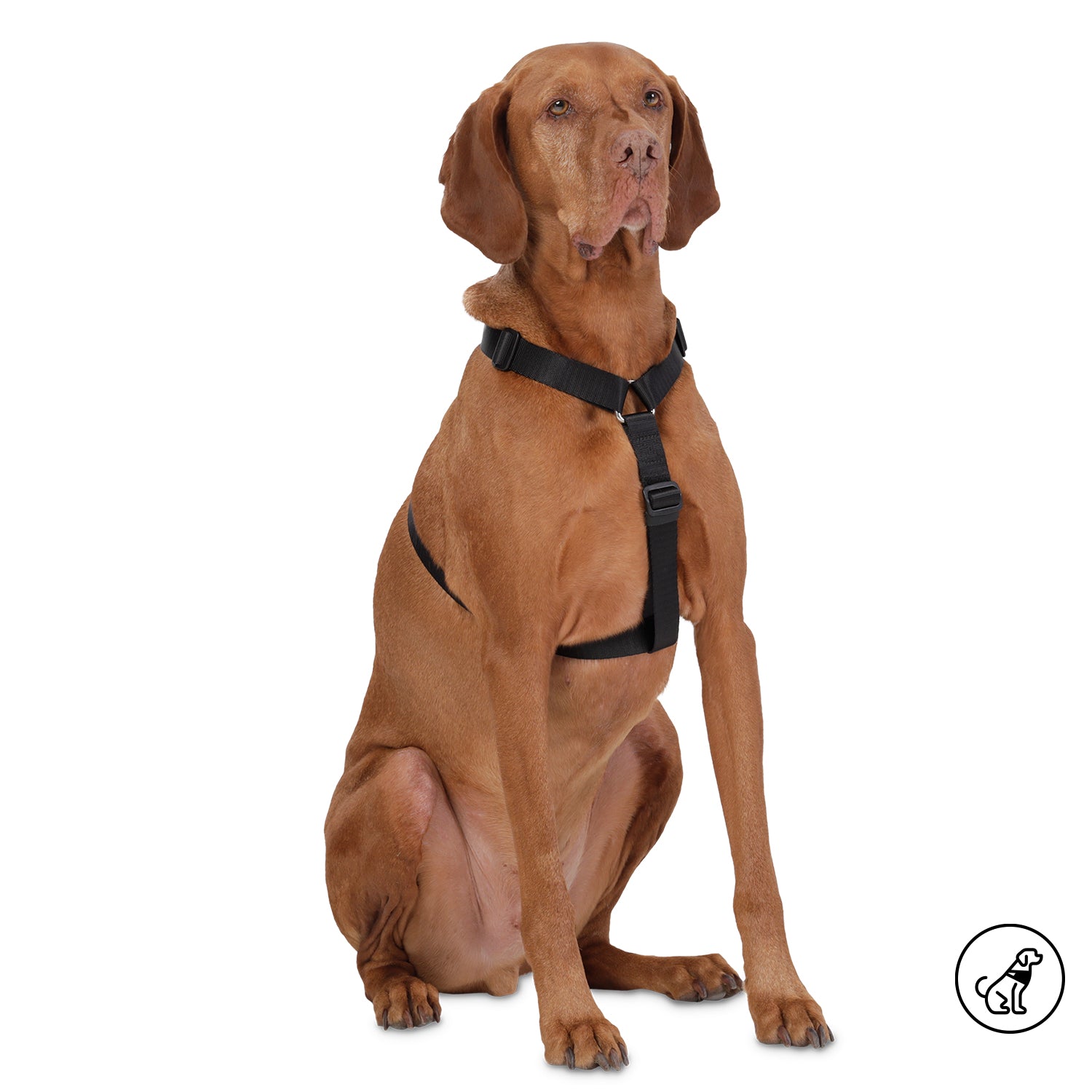 Arnes De Caminata Figgo Color: Negro Talla: L