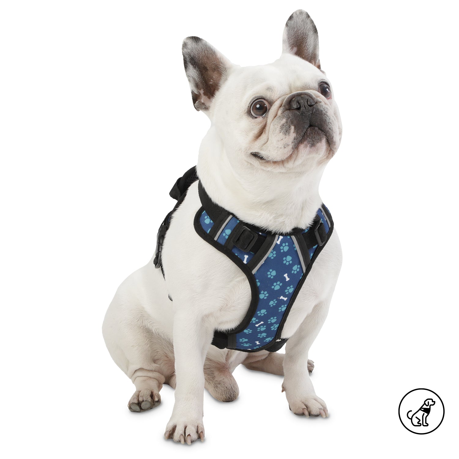 Arnes De Caminata Pechera Heikul S