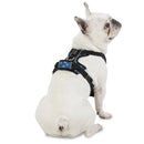 Arnes De Caminata Pechera Heikul S