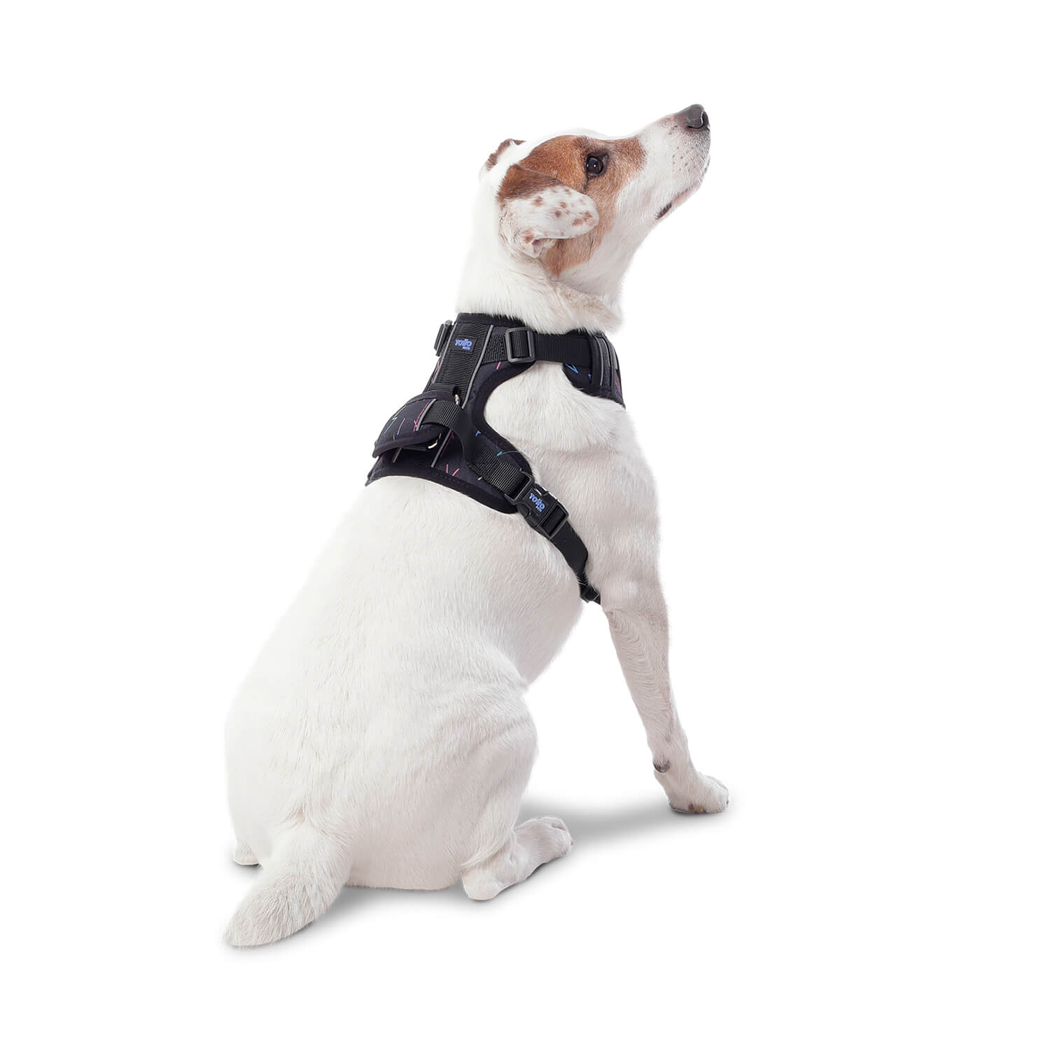 Arnes De Caminata Pechera Heikul S Color: Estampado