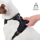 Arnes De Caminata Pechera Heikul S Color: Estampado