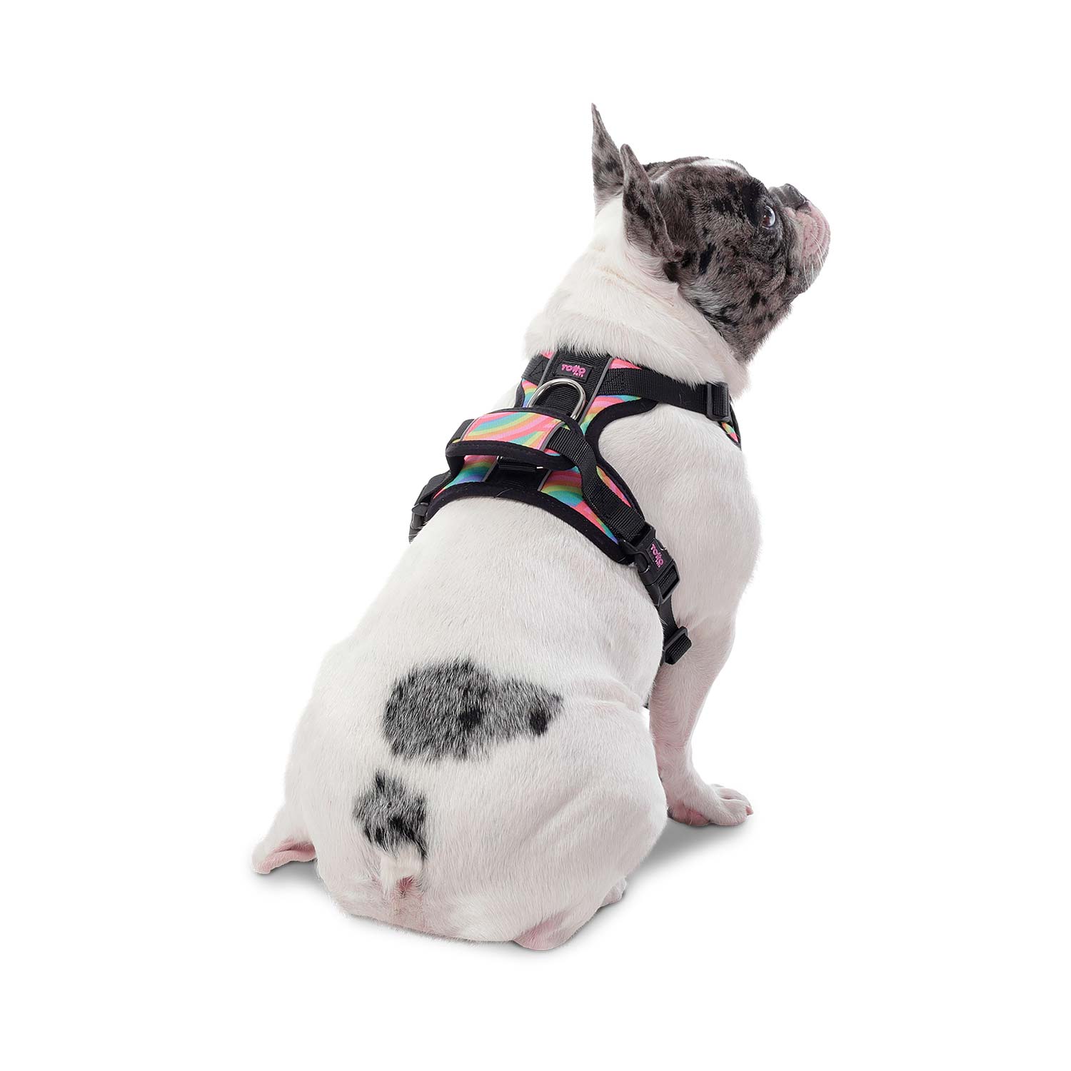 Arnes De Caminata Pechera Heikul Color: 9I6 Talla: M