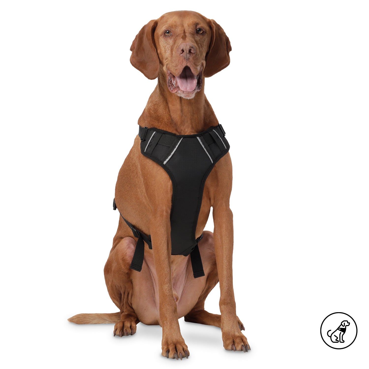 Arnes De Caminata Pechera Heikul Color: Negro Talla: L