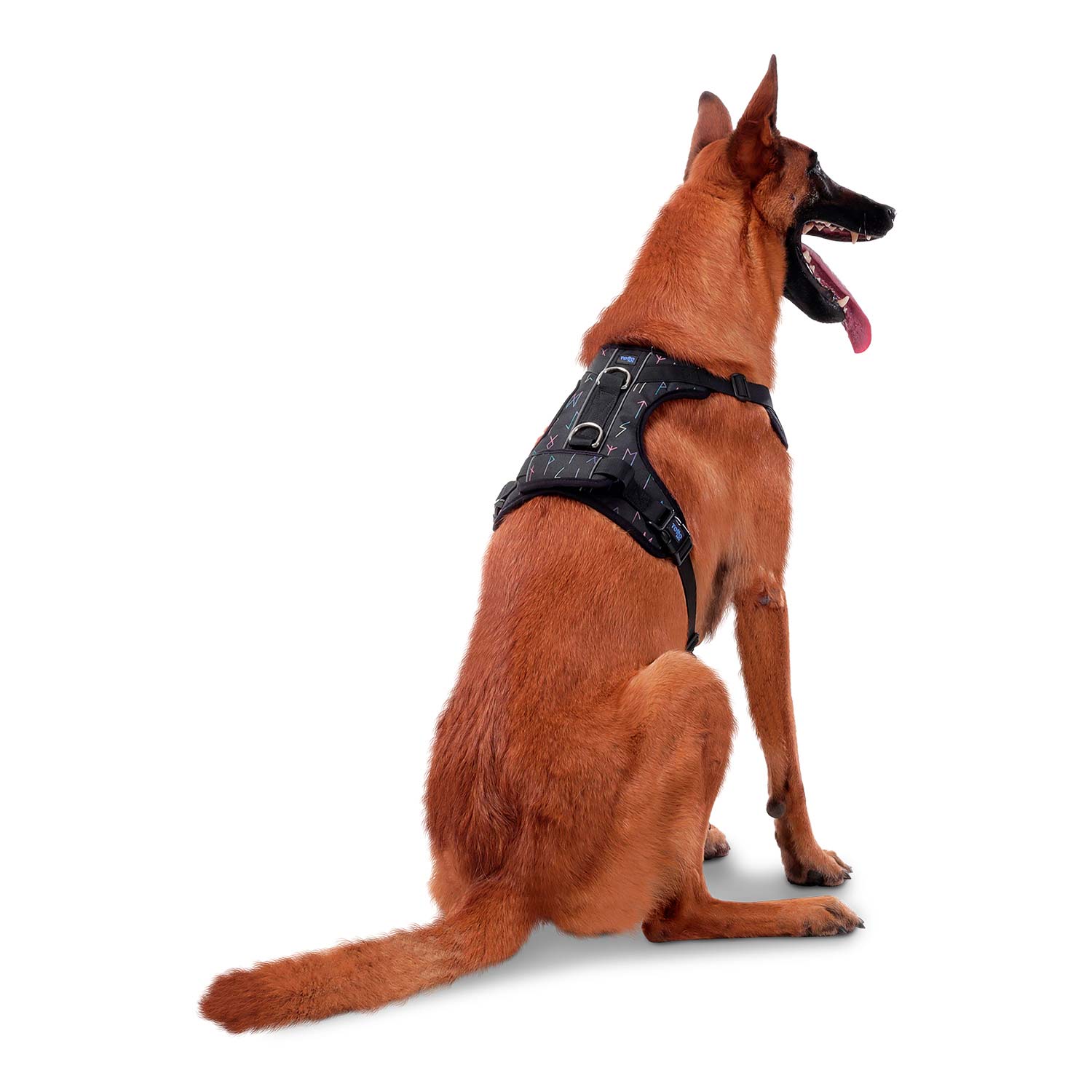 Arnes De Caminata Pechera Heikul Color: 5C9 Talla: L