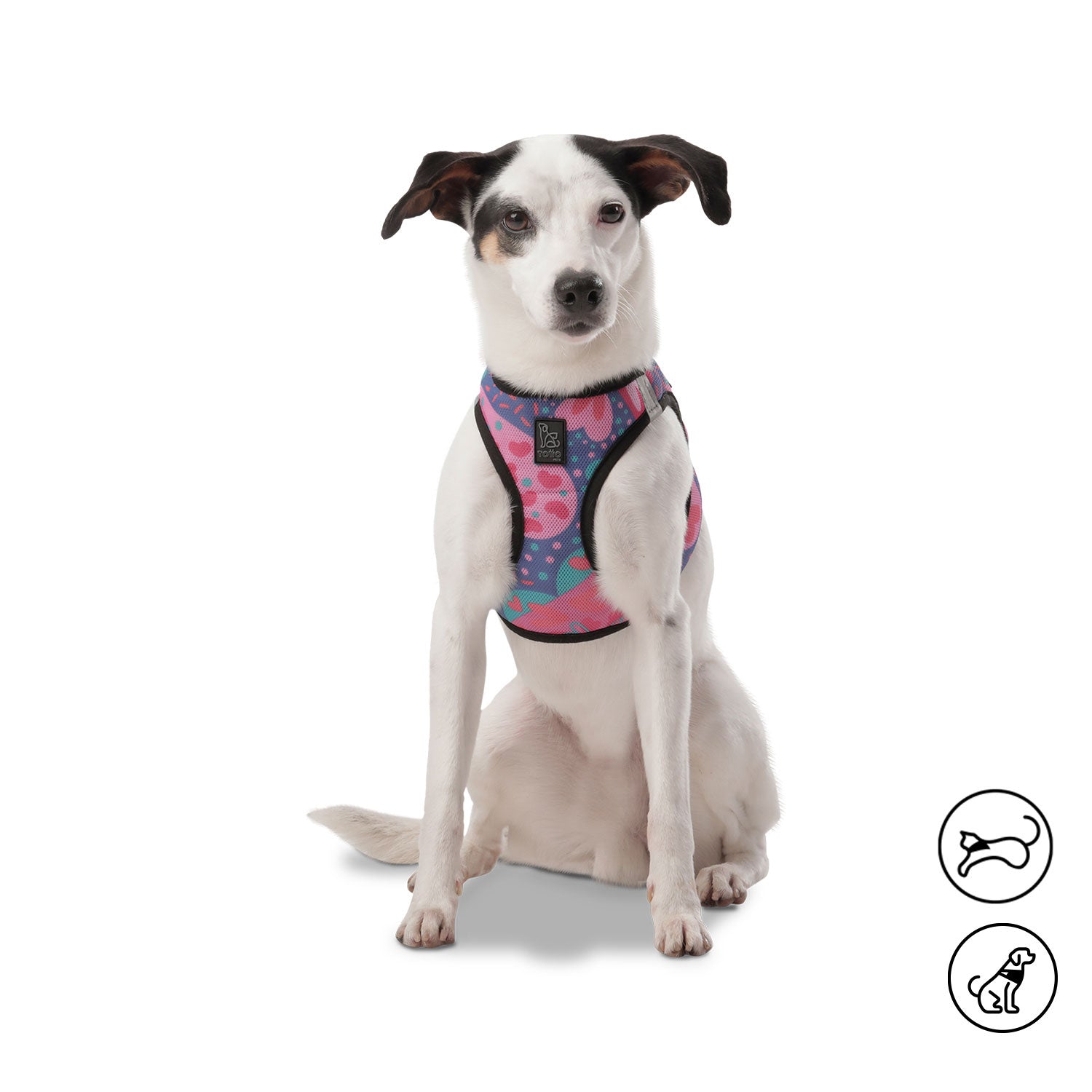 Arnes De Caminata Pechera Toby