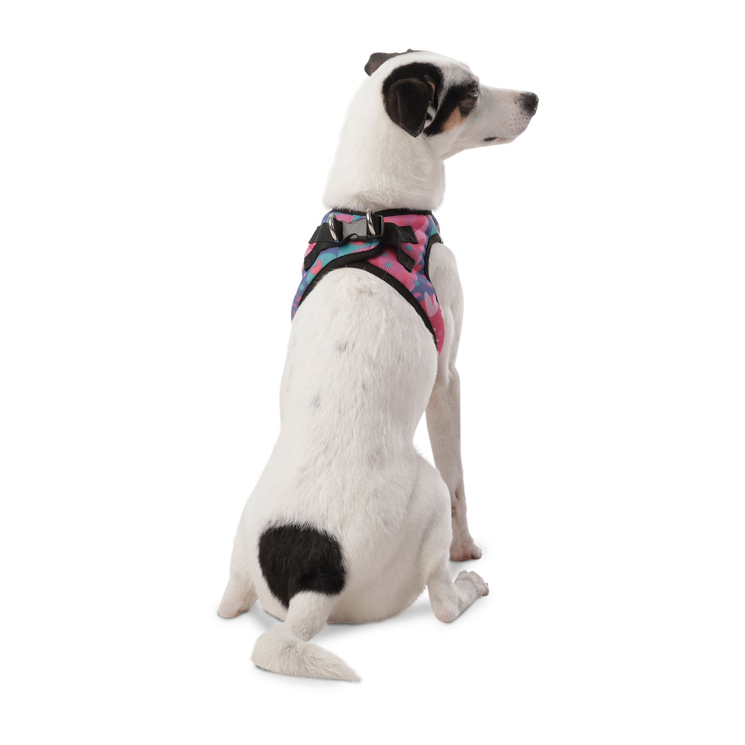 Arnes De Caminata Pechera Toby