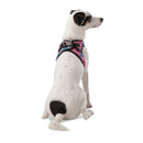 Arnes De Caminata Pechera Toby