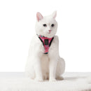 Arnes De Caminata Pechera Toby