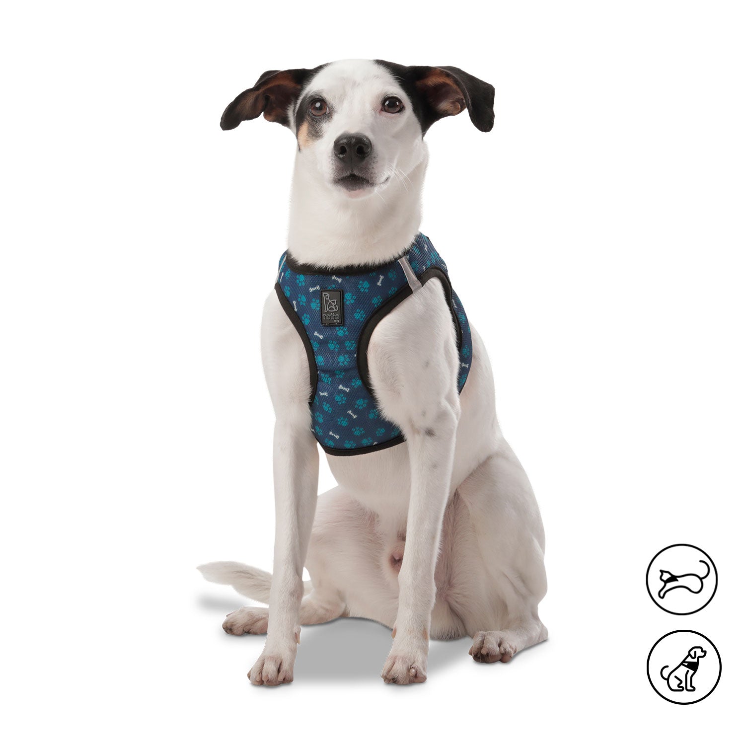 Arnes De Caminata Pechera Toby