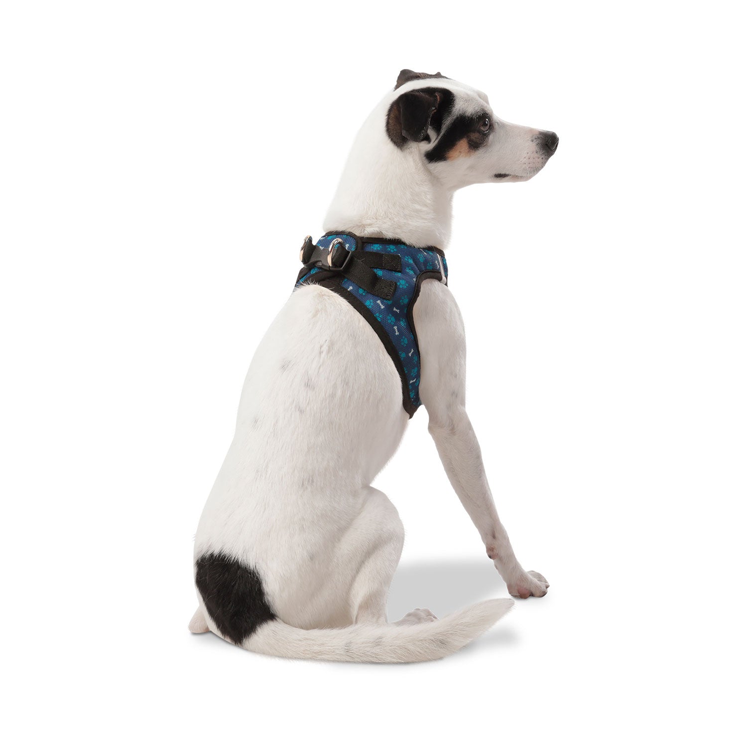 Arnes De Caminata Pechera Toby