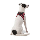 Arnes De Caminata Pechera Toby