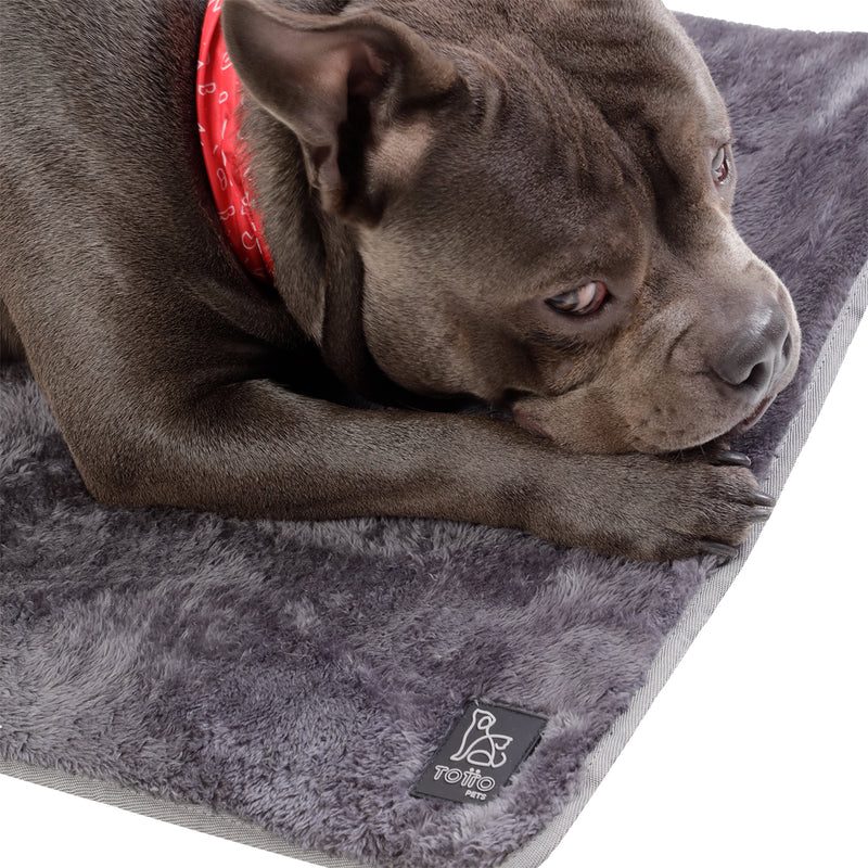 Totto Pets - Cama Portátil Sherpy Gris