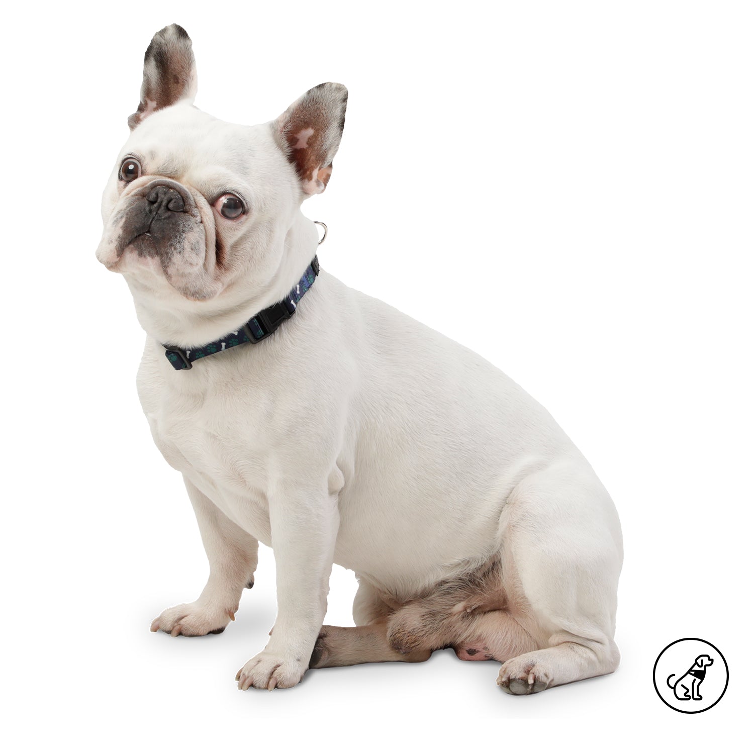 Collar Ajustable Mylu S - Color: Estampado Talla: S