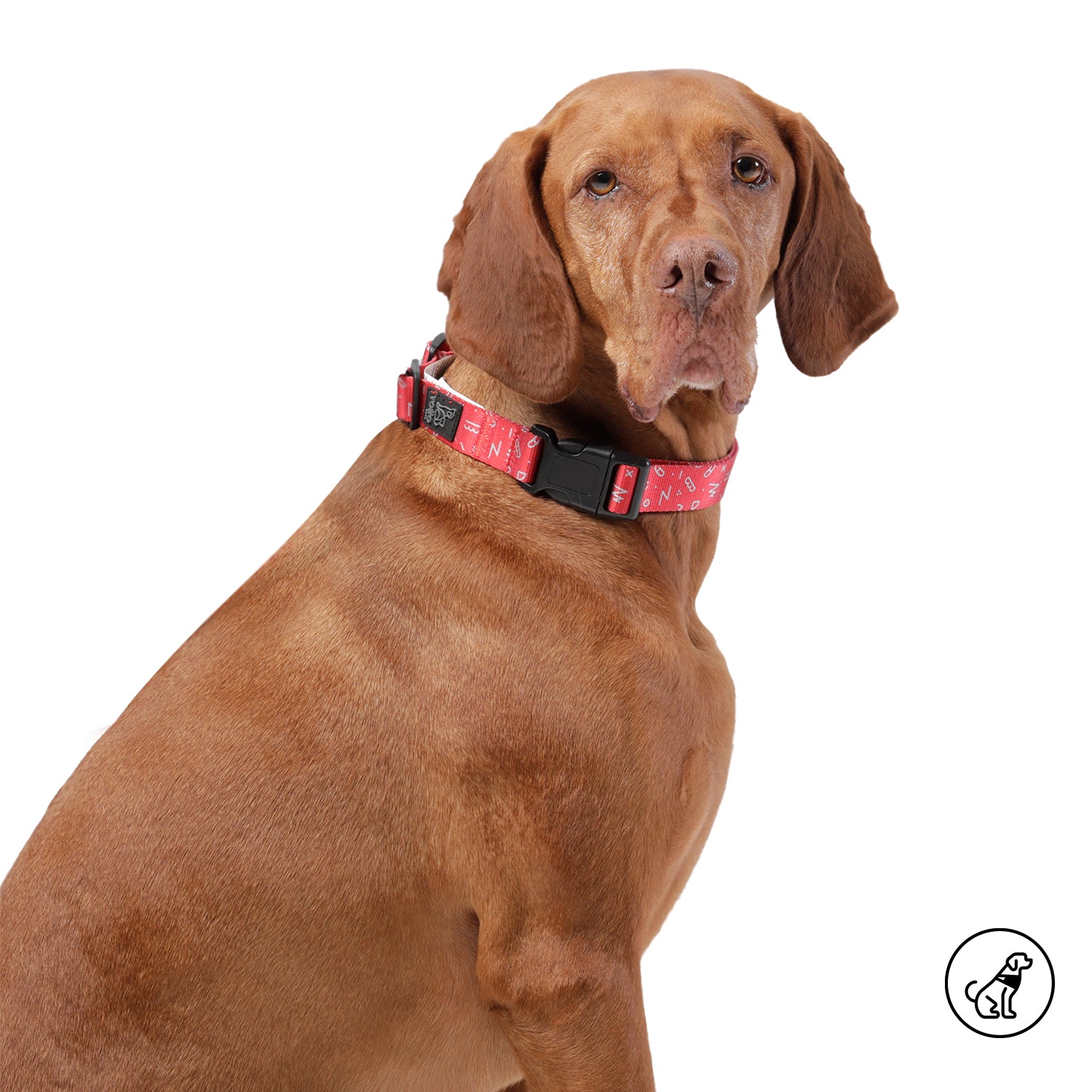 Collar Ajustable Mylu Color: Rojo Talla: XL