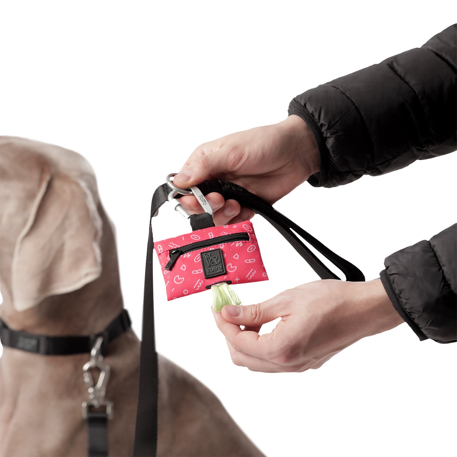 Dispensador De Bolsas Jaso Color: Rojo