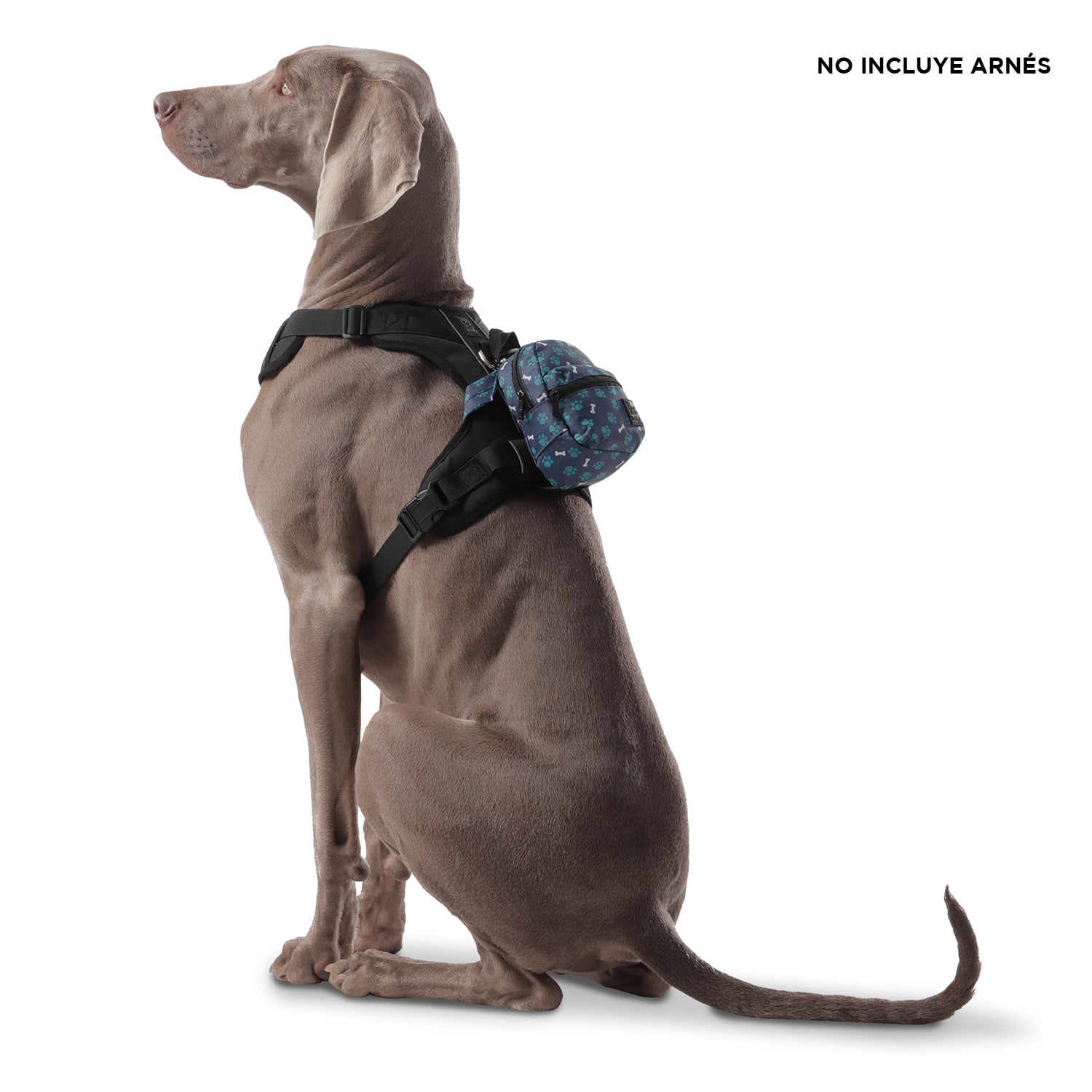 Mochila Mini Gary - Color: Estampado