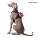 Mochila Mini Gary Color: Rojo