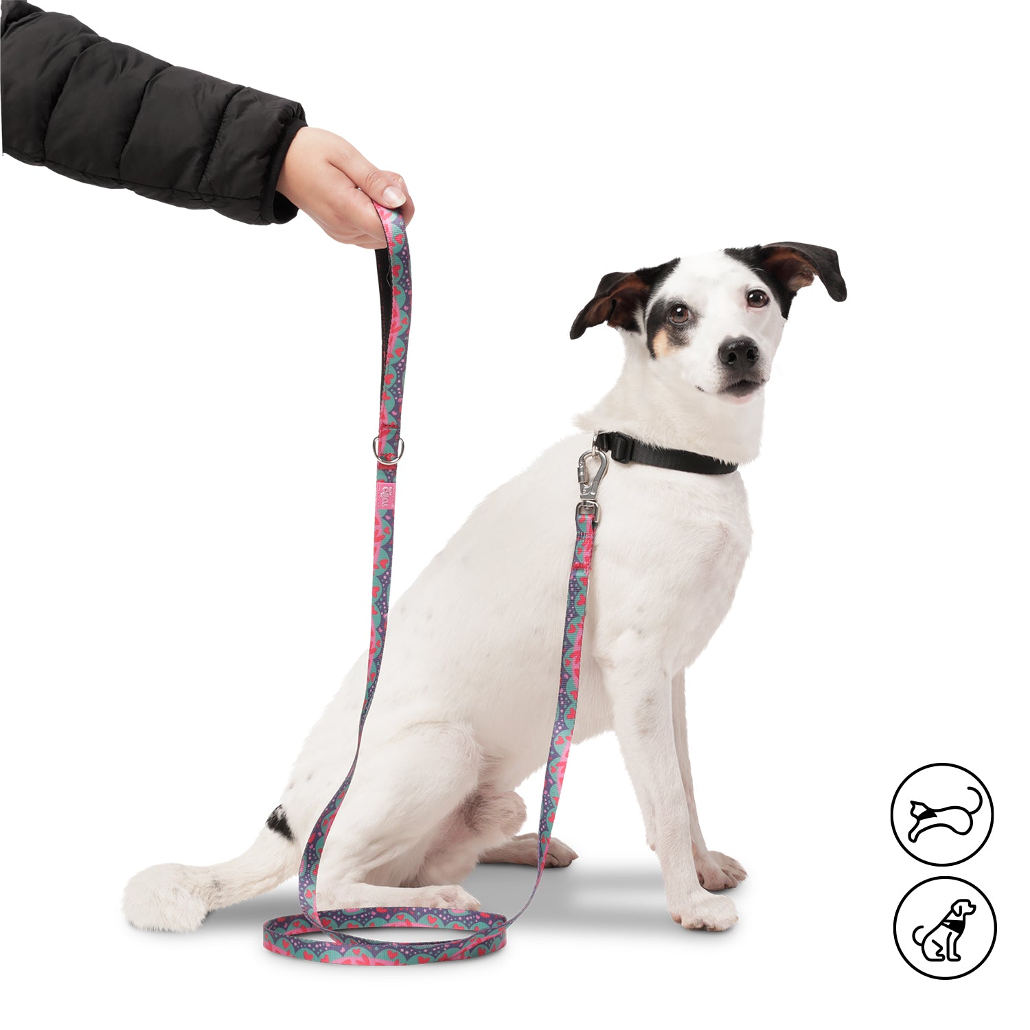 Correa Para Mascota Odye - Correa Manija Sencilla Odye Color: Rosado Talla: S