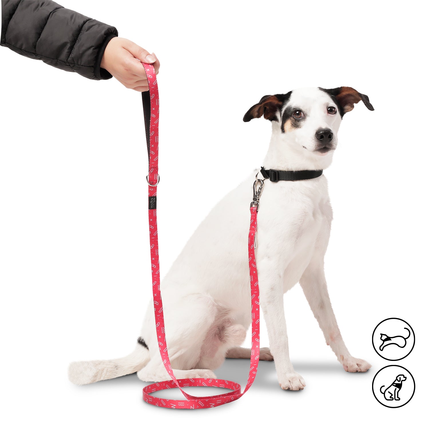 Correa Para Mascota Odye - Correa Manija Sencilla Odye Color: Rojo Talla: