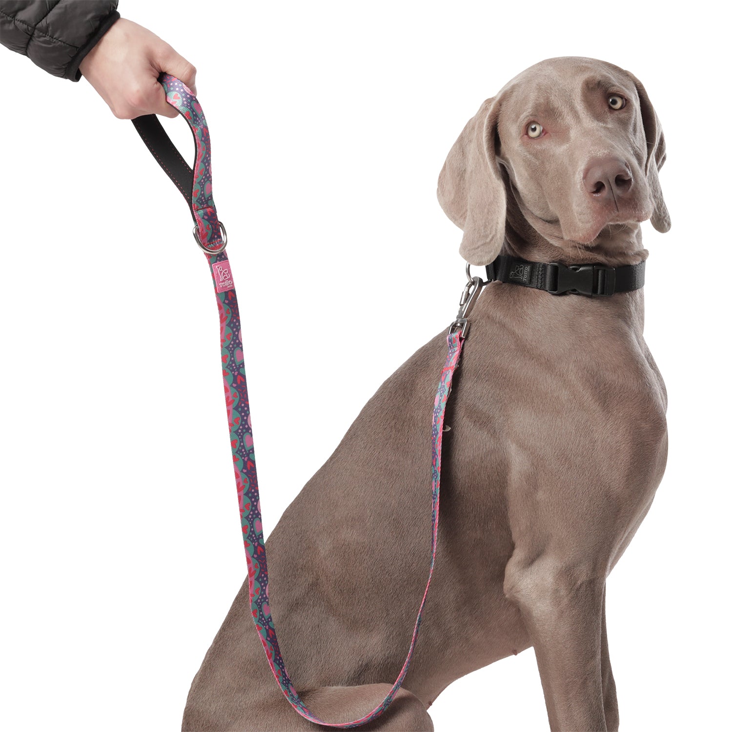 Correa Para Mascota Odye - Correa Manija Sencilla Odye Color: Rosado Talla: L