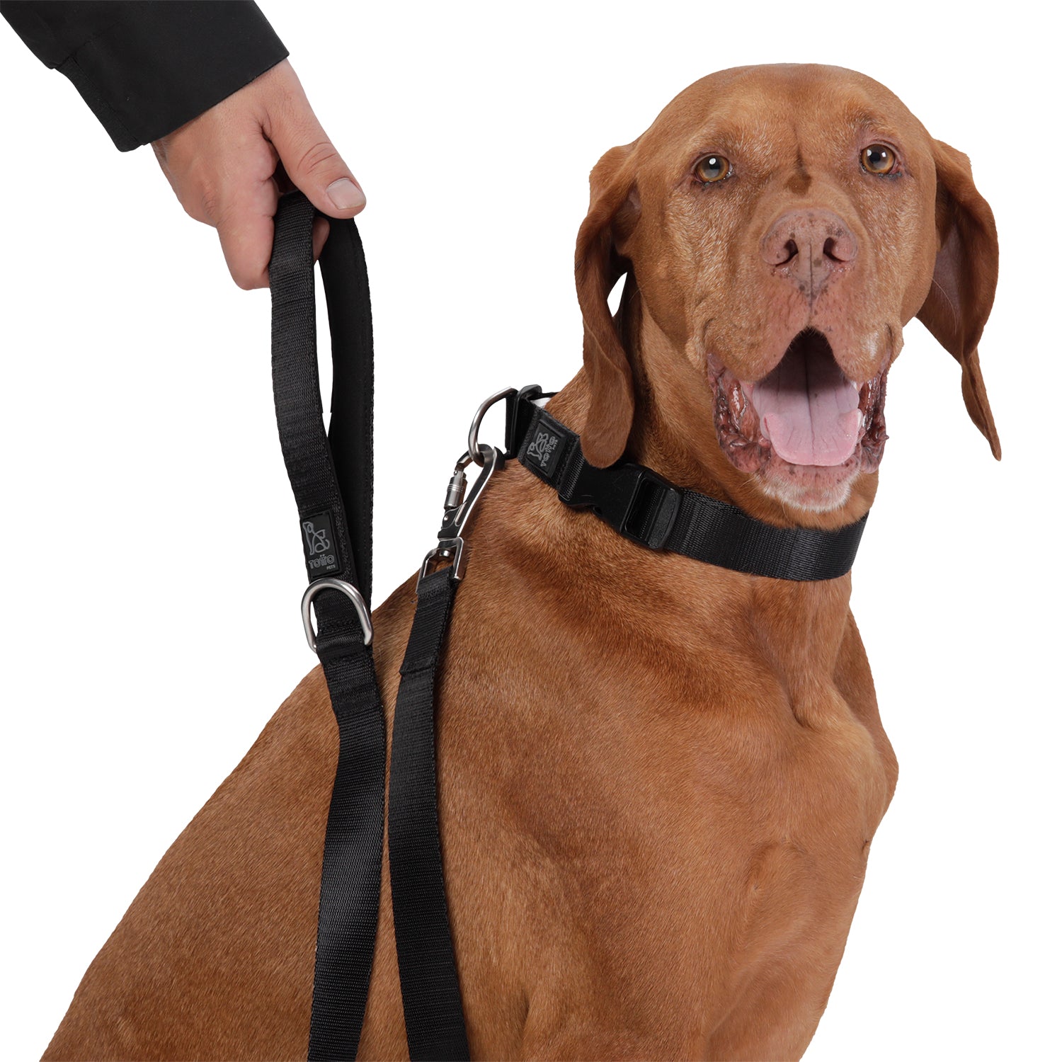 Correa Para Mascota Odye - Correa Manija Sencilla Odye Color: Negro Talla: L