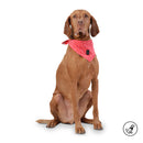 PAÑUELO MENTA 2.0 5RXL