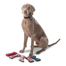 Juguete Mascota Bone - Color: Morado