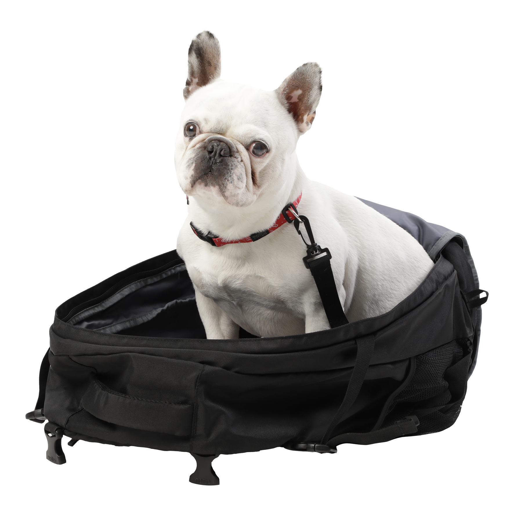 Mochila Cargador de mascotas - Meraki