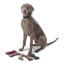 Juguete Mascota Bone - Color: Rojo